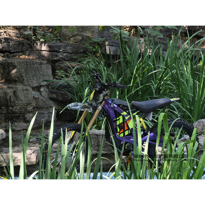 Surron Brand New Light Bee X 40ah Dirt E Bike Powerful Off-Road Motorcycles for Adults