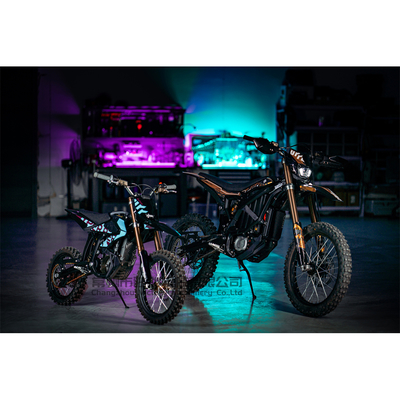 2025 Ultra Bee Mid Motor Electric Dirt Bike 12.5kw Off-Road E-Bicycle Newest Model with Powerful Features and Lithium Battery